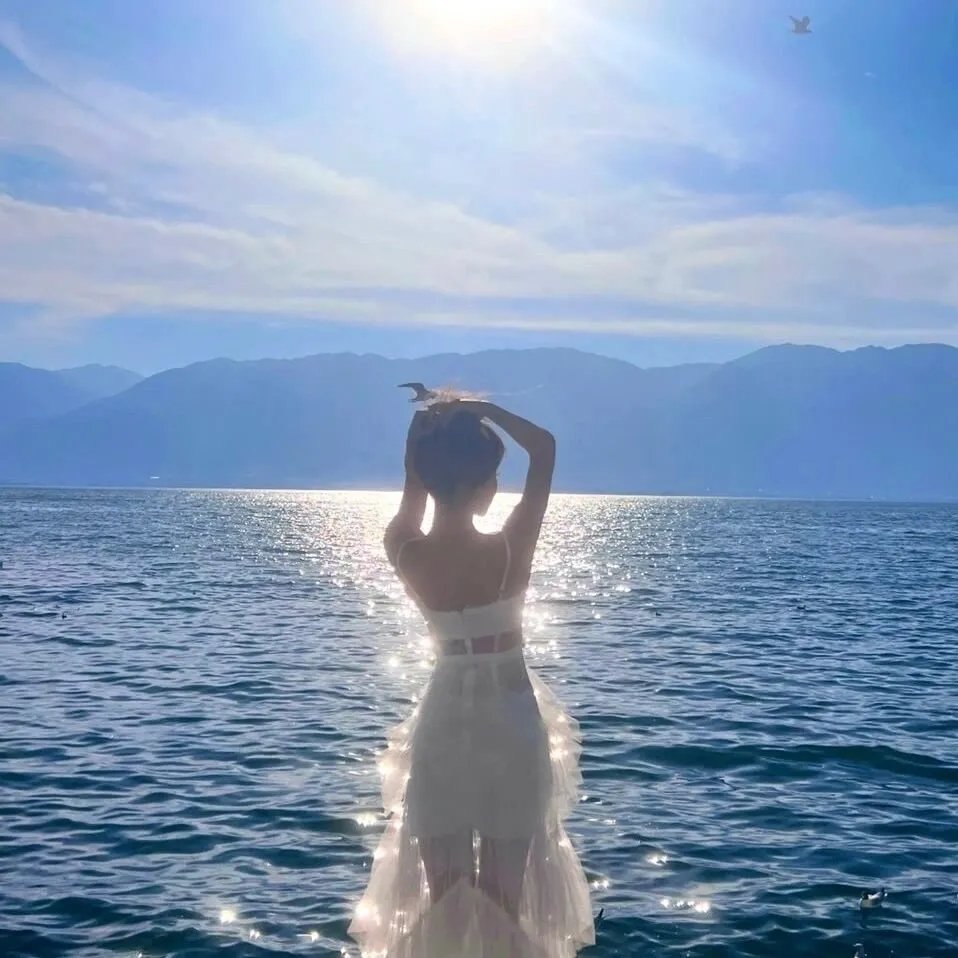 双面骗子虚假警察第二季